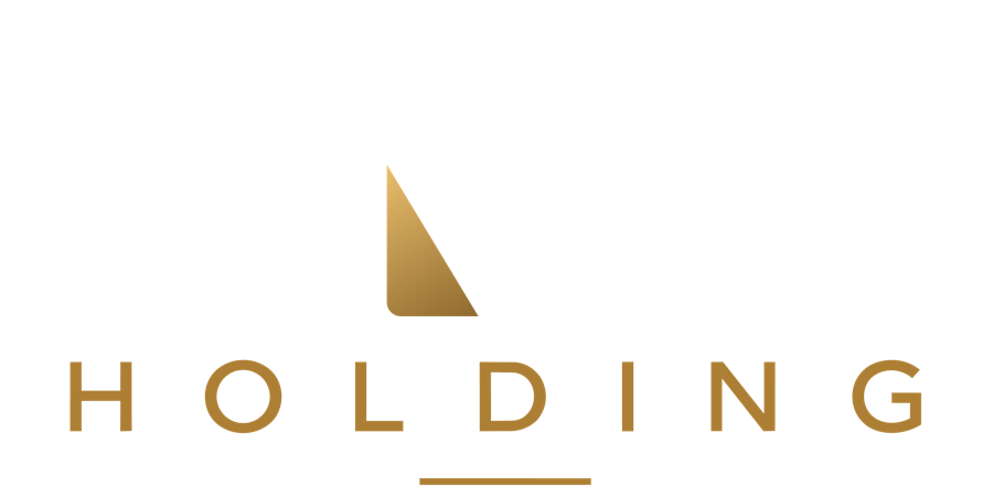 DMK HOLDING